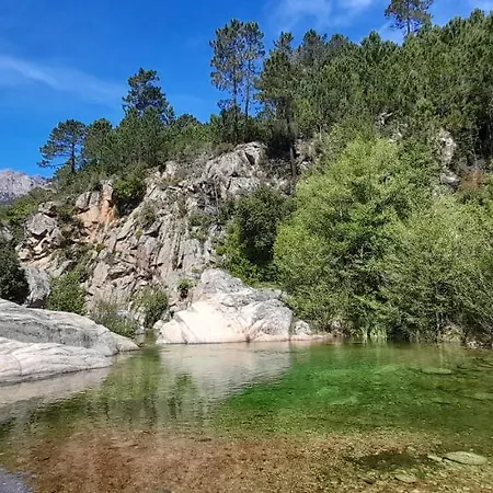 Un Petit Paradis Apartamento