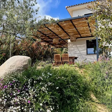 Un Petit Paradis *